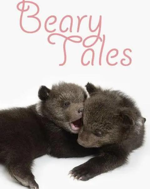 紀錄片【毛熊養成記/Beary Tales】2013年