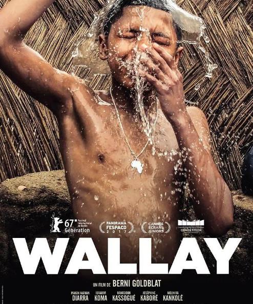 電影【瓦裏/瓦利】2017年