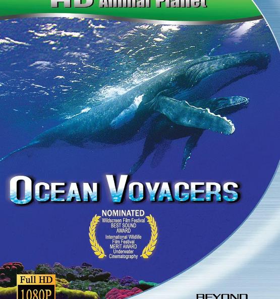 紀錄片【動物星球系列:鯨奇之旅/Ocean Voyagers】2007年