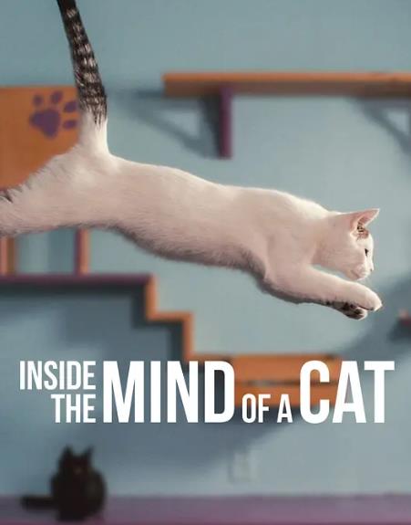 電影【喵星人的奇思妙想】2022年