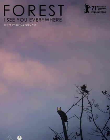 電影【森林隨處可見/走入寂寞森林/Rengeteg - Mindenhol látlak】2021年