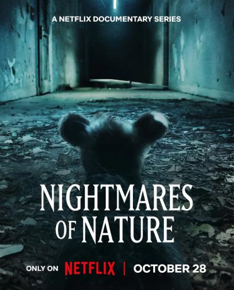 紀錄片【大自然的噩夢迷失叢林】2025年